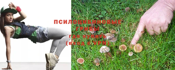 а пвп мука Белокуриха
